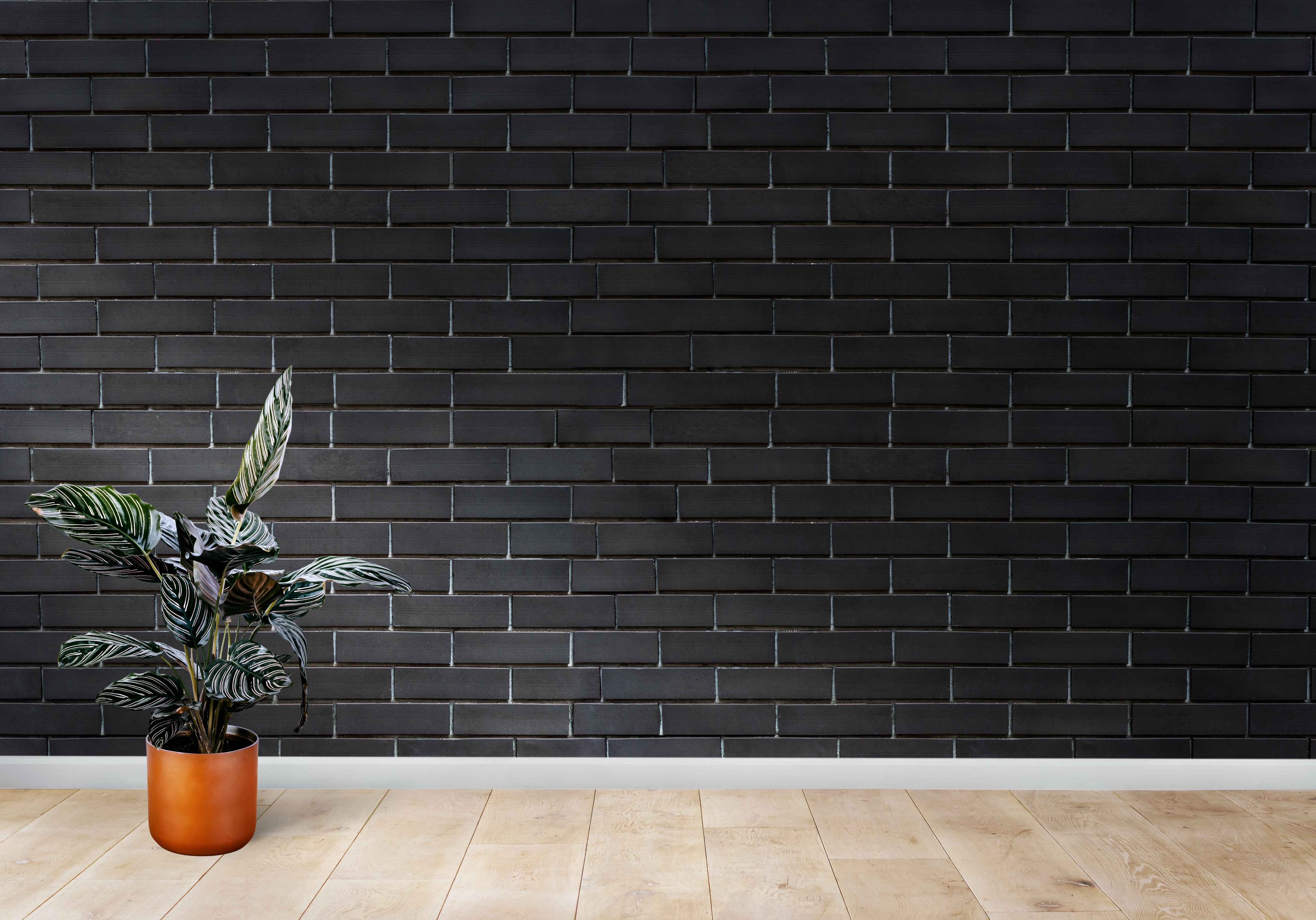 Modern Interior with Black Brick Wall